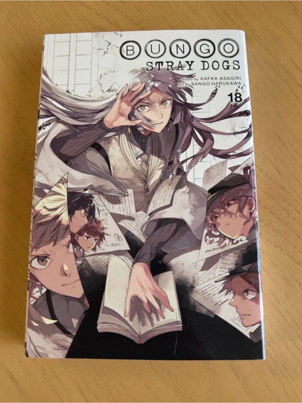 Bungo Stray Dogs Manga Volume 18
